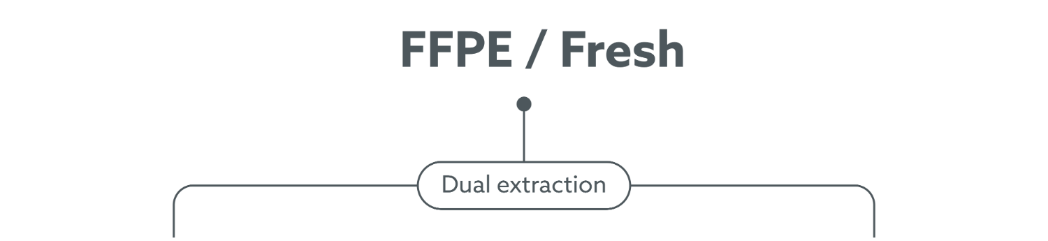 FFPE-Fresh