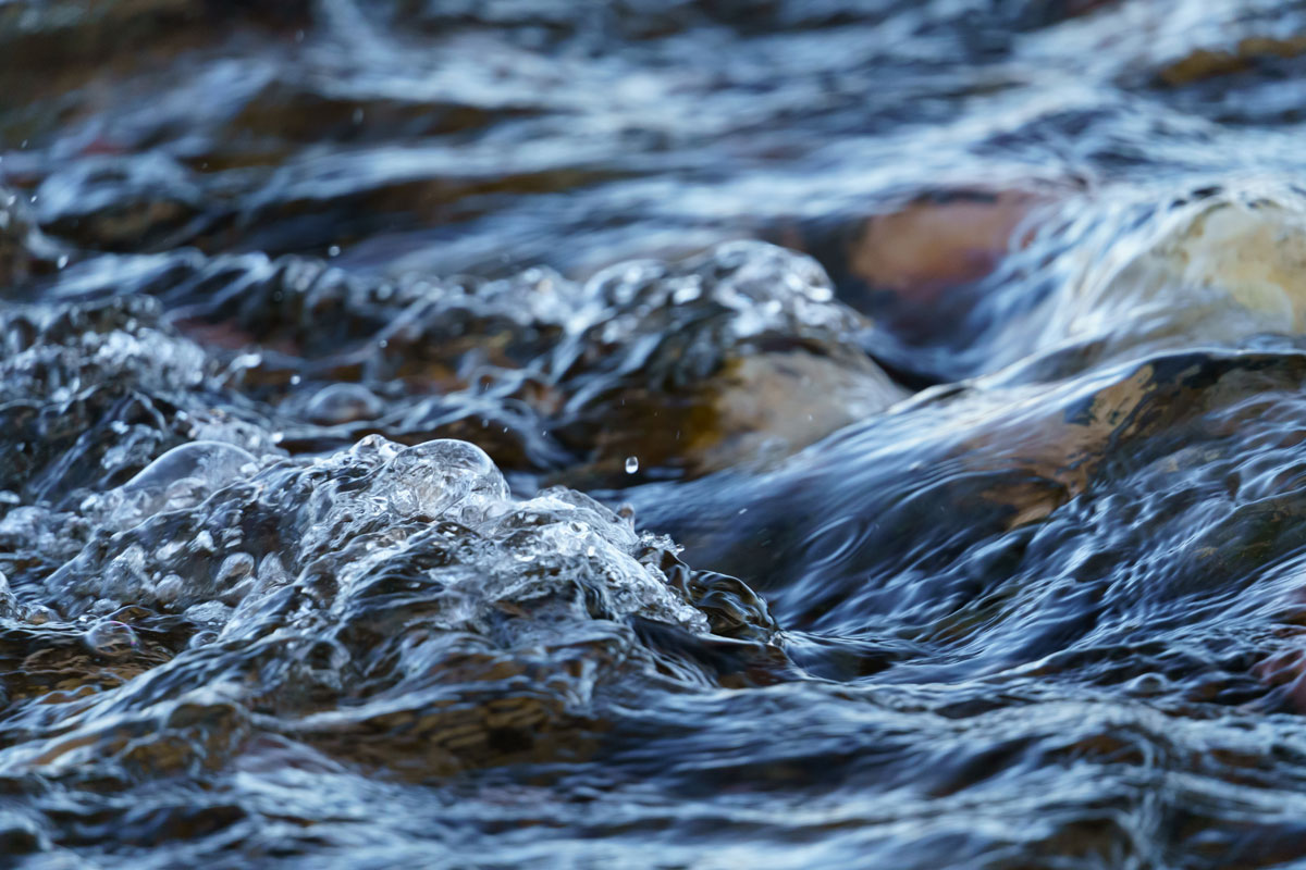 Water
